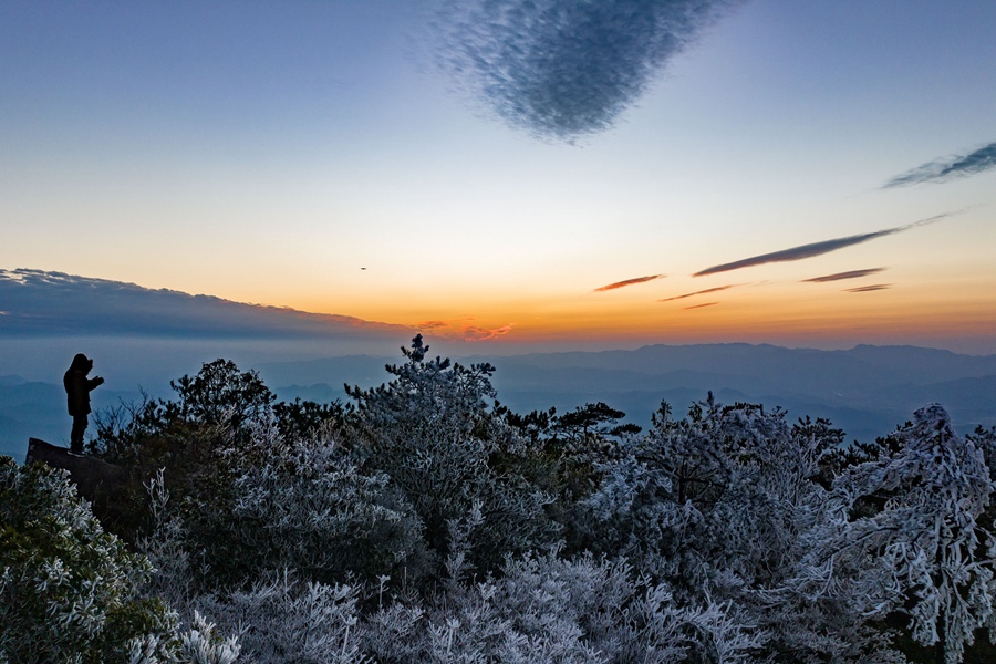 连城高山雾凇景观美如画。　叶先锋　摄