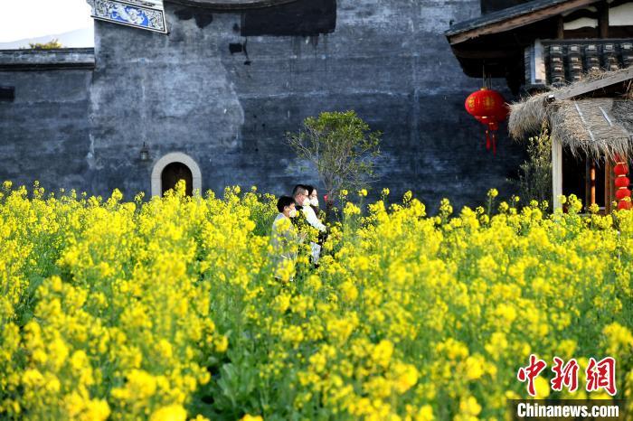 图为游客在梁厝特色历史文化街区游玩。　吕明 摄

