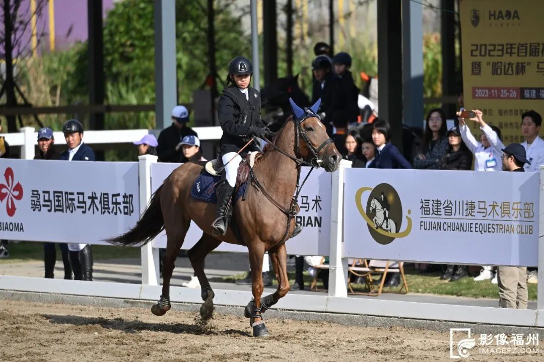 策马奔腾！福州首届马术锦标赛开幕！