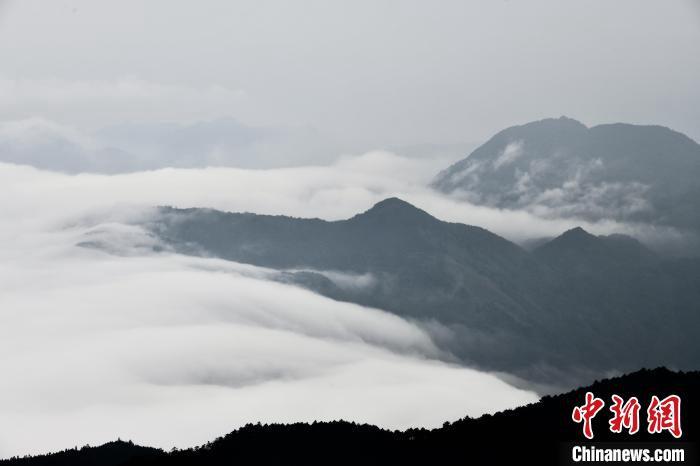 空中航拍金饶山壮观的云海。　中新网记者 王东明 摄
