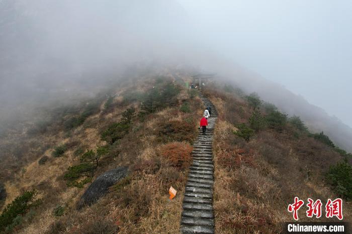 游客登山观看云海景观。　中新网记者 王东明 摄
