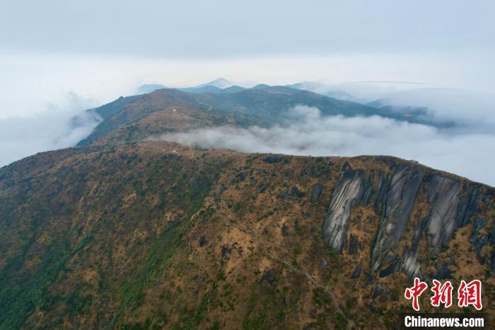 空中航拍金饶山壮观的云海。 中新网记者 王东明 摄
