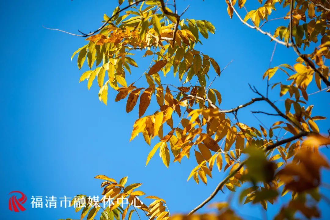 福清这里要红了！每一眼都是惊艳！