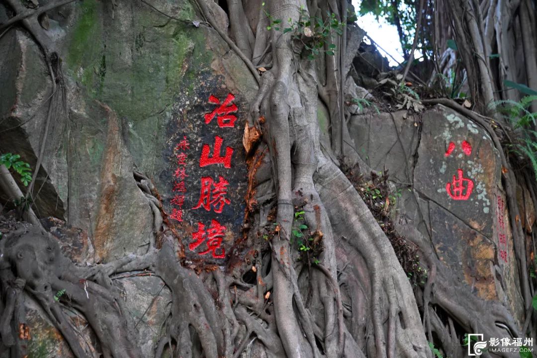 冶山春秋园！焕新亮相！