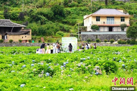 图为福州市两岸共通标准应用现场开放日宣传活动现场。福州市市场监管局 供图