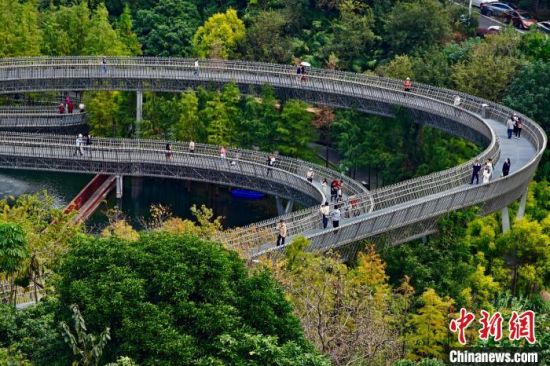 11月24日，福建福州，冬日里的福道郁郁葱葱，吸引许多市民前来游玩。中新社记者 王东明 摄