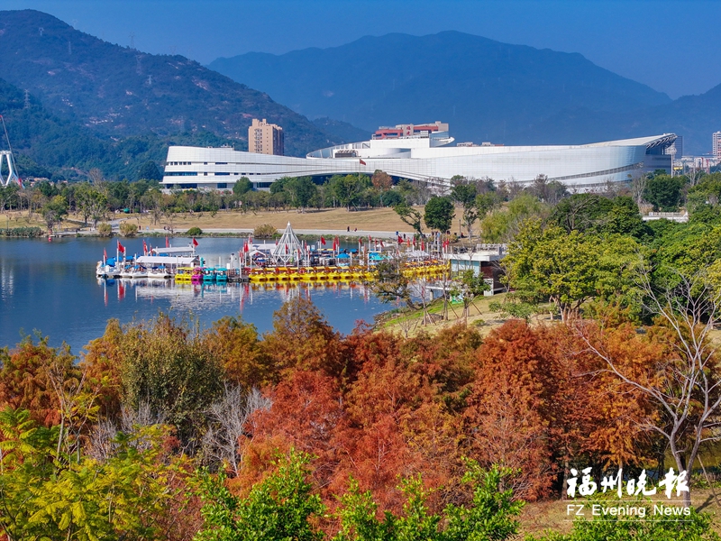 福州市园林中心发布赏花线路 新年伊始开启“探花”之旅