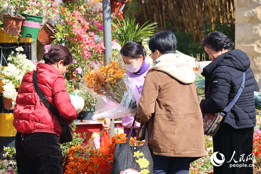 挑选干花的市民们与商家交流还价。人民网记者 陈博摄