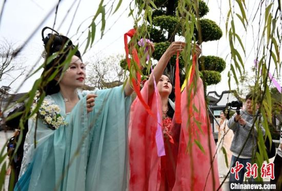 图为披彩赏红仪式，身穿汉服的青年在树木系上祈福的五彩绸带。中新社记者 吕明 摄